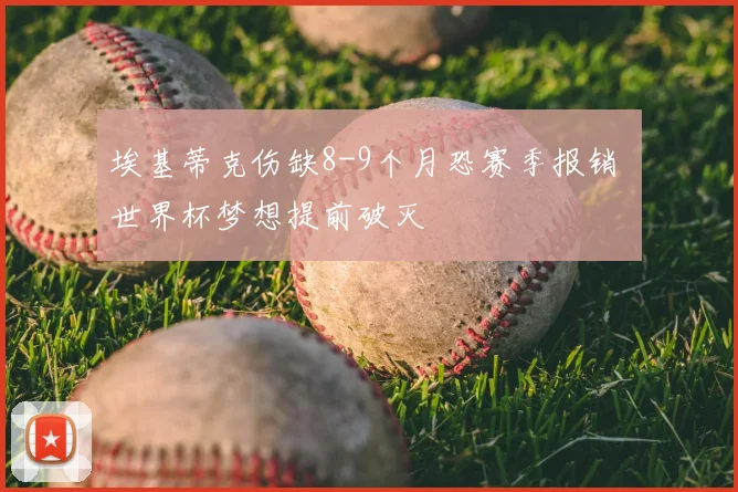 埃基蒂克伤缺8-9个月恐赛季报销 世界杯梦想提前破灭
