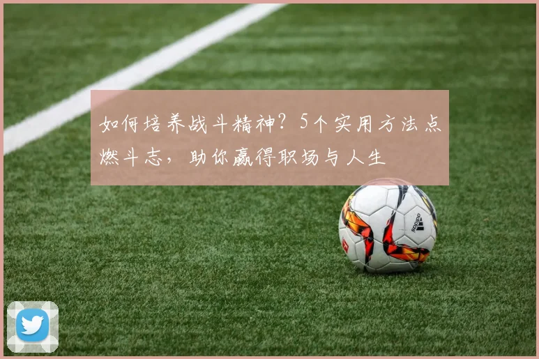 如何培养战斗精神？5个实用方法点燃斗志，助你赢得职场与人生